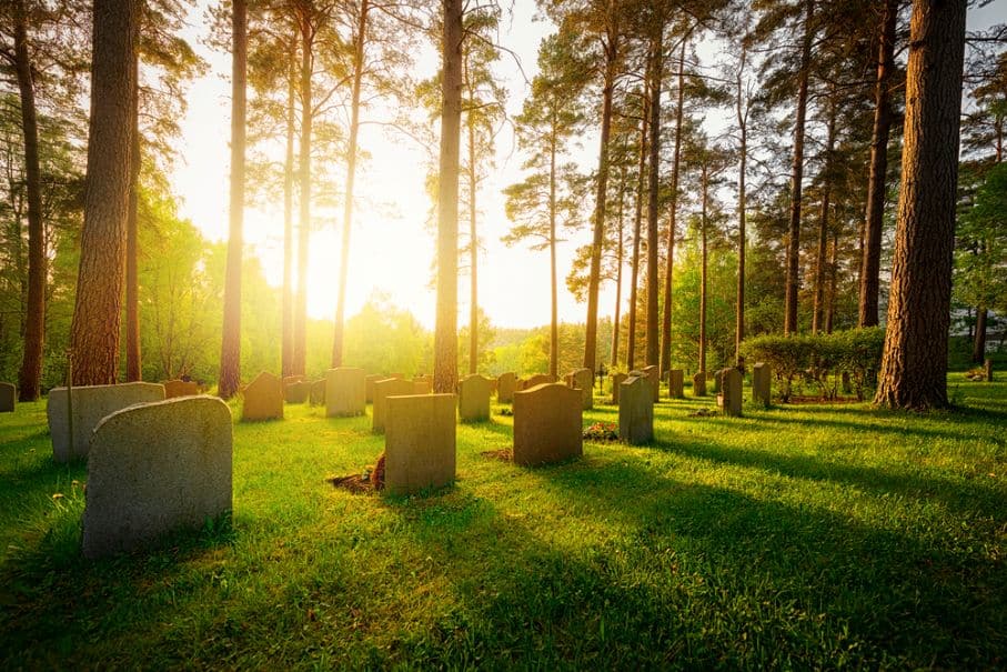 20 Best Graveyards in the USA for 2025